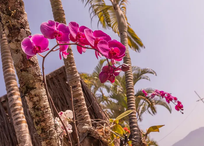 Pousada Bonns VentosPousada